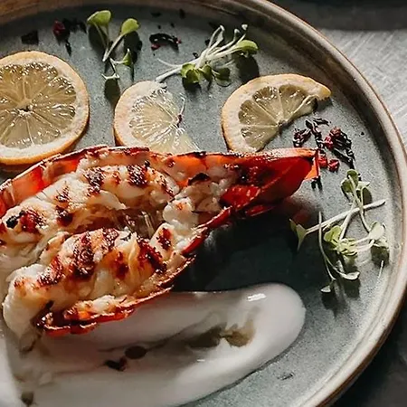 Campo Do Rosmaninho 4* Castelo Branco (Centro)