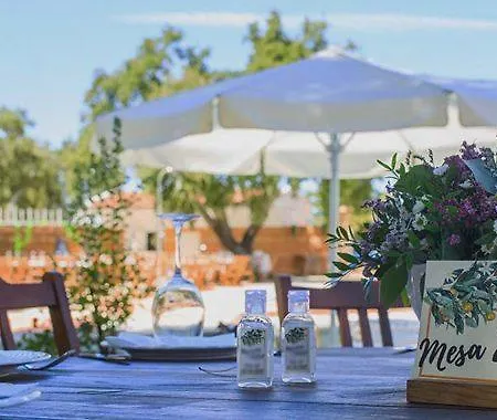 Campo Do Rosmaninho Hotel Castelo Branco (Centro)