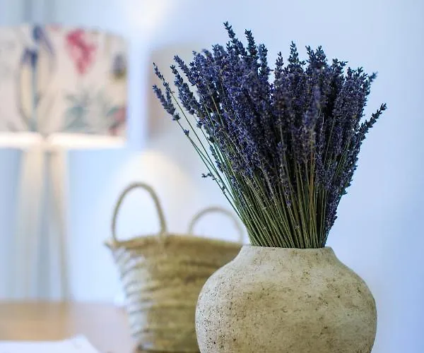 Campo Do Rosmaninho 4* Castelo Branco (Centro)