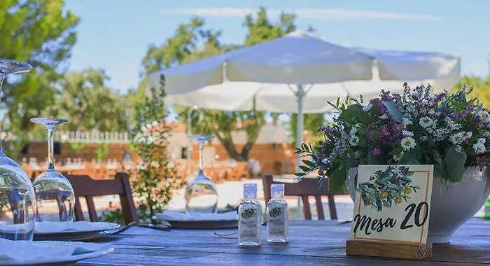 Campo Do Rosmaninho Hotel Castelo Branco (Centro)