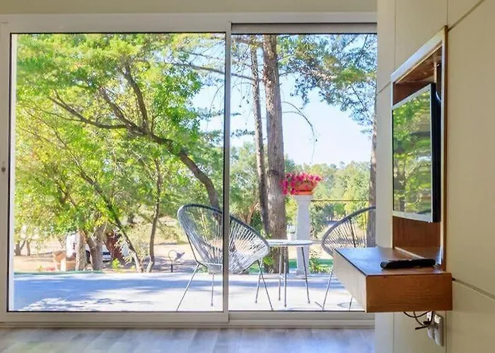 Campo Do Rosmaninho Castelo Branco (Centro)